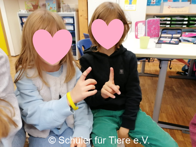 2026_10_20-Wiesloch-Frauenweiler-Tauben-3