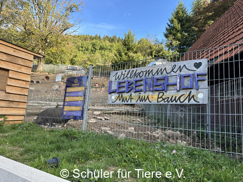 3.-Tierschutztage-Herbstferien-2026-15