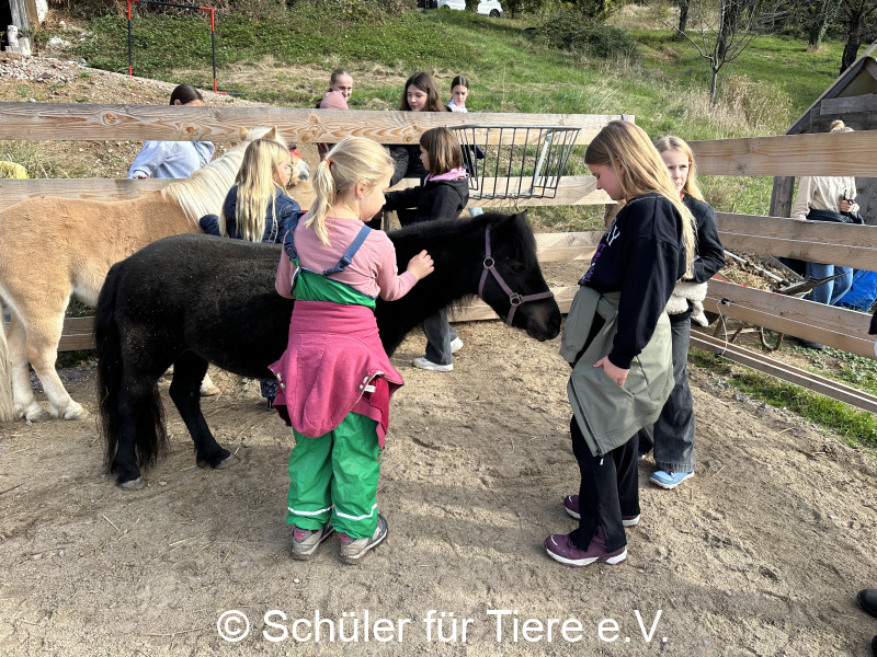 3.-Tierschutztage-Herbstferien-2026-16