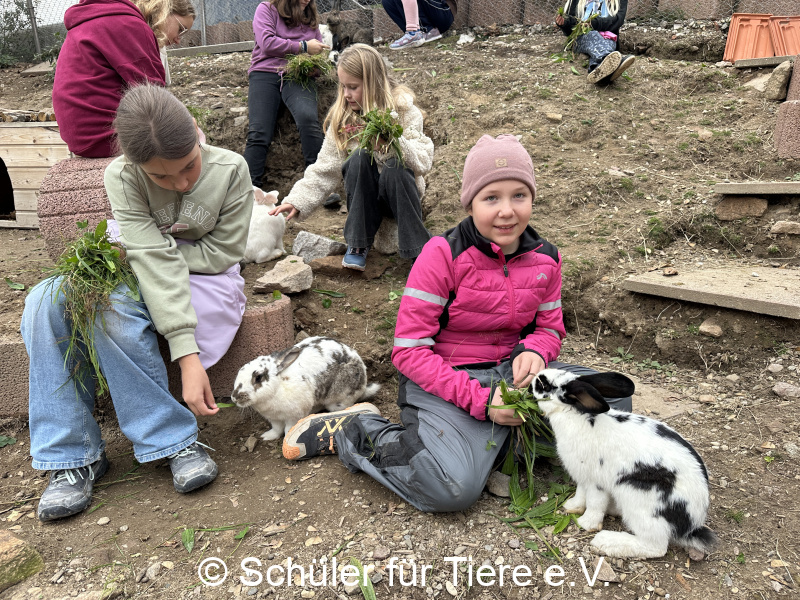 3.-Tierschutztage-Herbstferien-2026-18