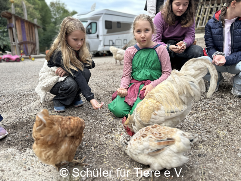 3.-Tierschutztage-Herbstferien-2026-19