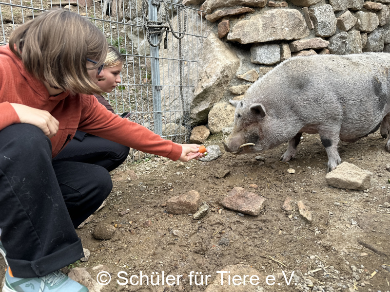 3.-Tierschutztage-Herbstferien-2026-20
