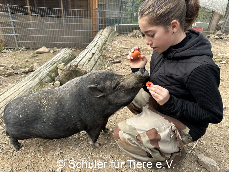 3.-Tierschutztage-Herbstferien-2026-21