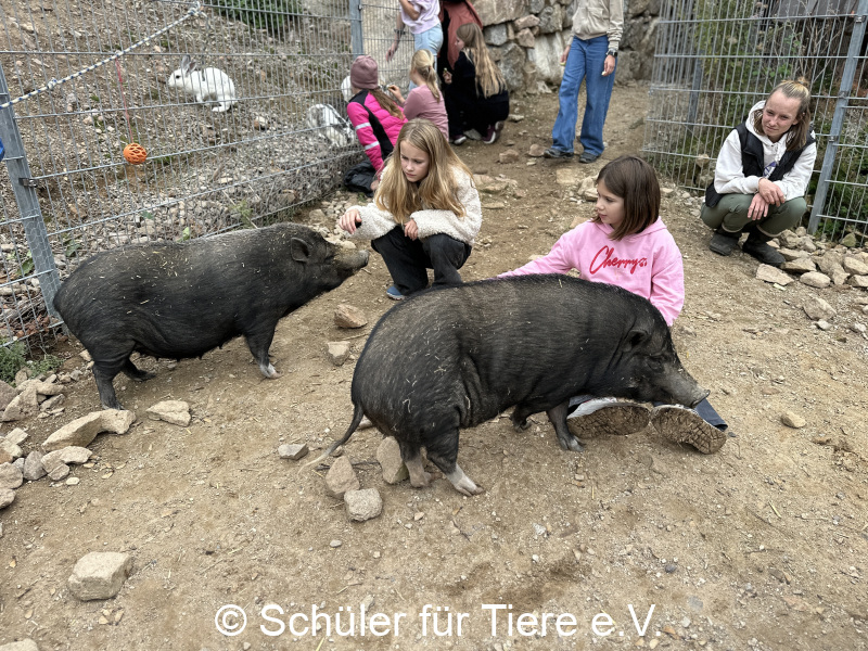 3.-Tierschutztage-Herbstferien-2026-22