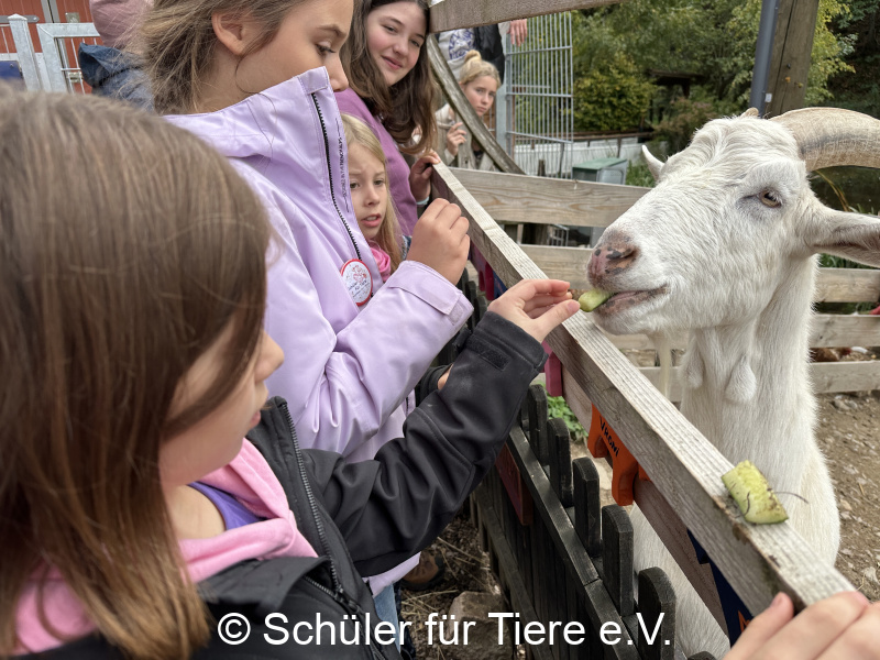 3.-Tierschutztage-Herbstferien-2026-23