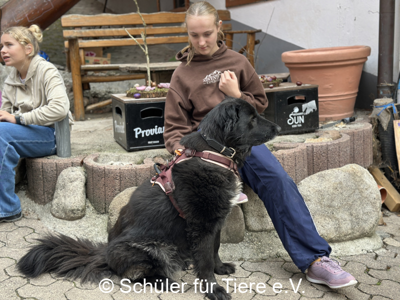 3.-Tierschutztage-Herbstferien-2026-24