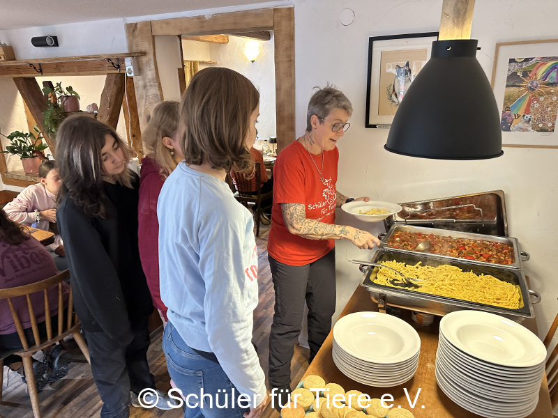 3.-Tierschutztage-Herbstferien-2026-26