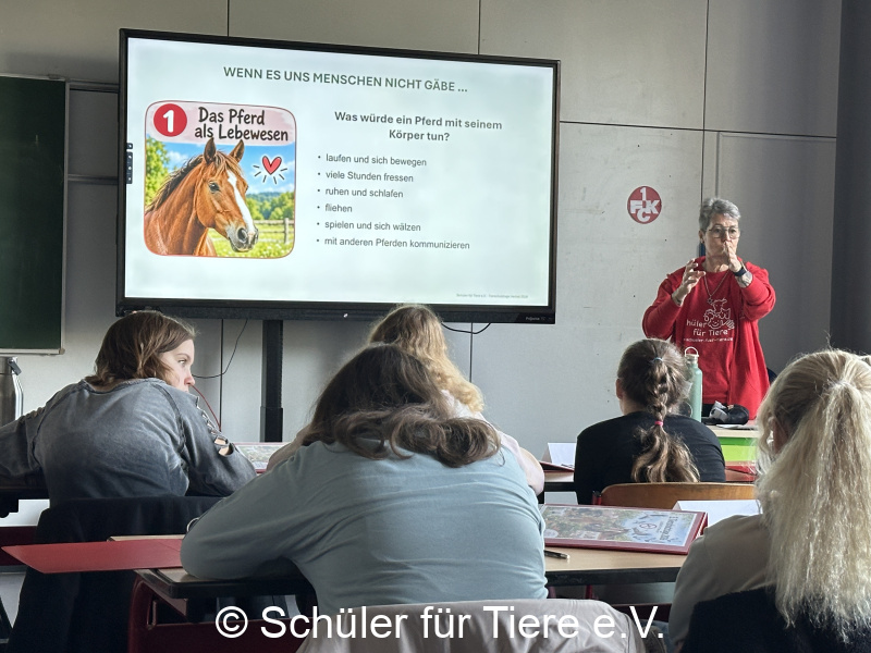 3.-Tierschutztage-Herbstferien-2026-28