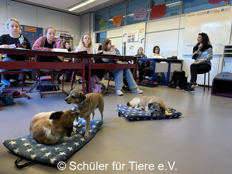 3.-Tierschutztage-Herbstferien-2026-31