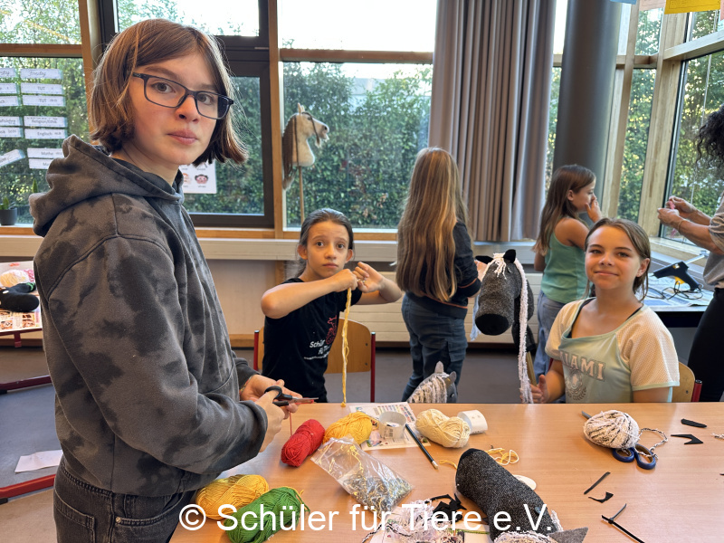 3.-Tierschutztage-Herbstferien-2026-33