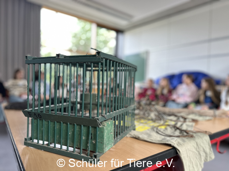 3.-Tierschutztage-Herbstferien-2026-38