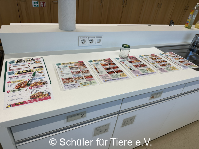 3.-Tierschutztage-Herbstferien-2026-4