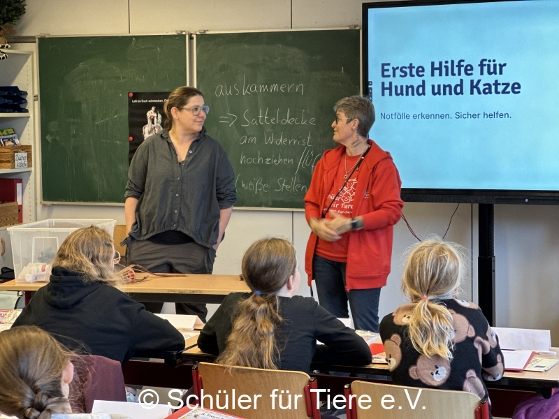 3.-Tierschutztage-Herbstferien-2026-42