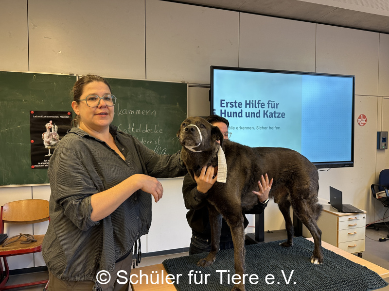 3.-Tierschutztage-Herbstferien-2026-43
