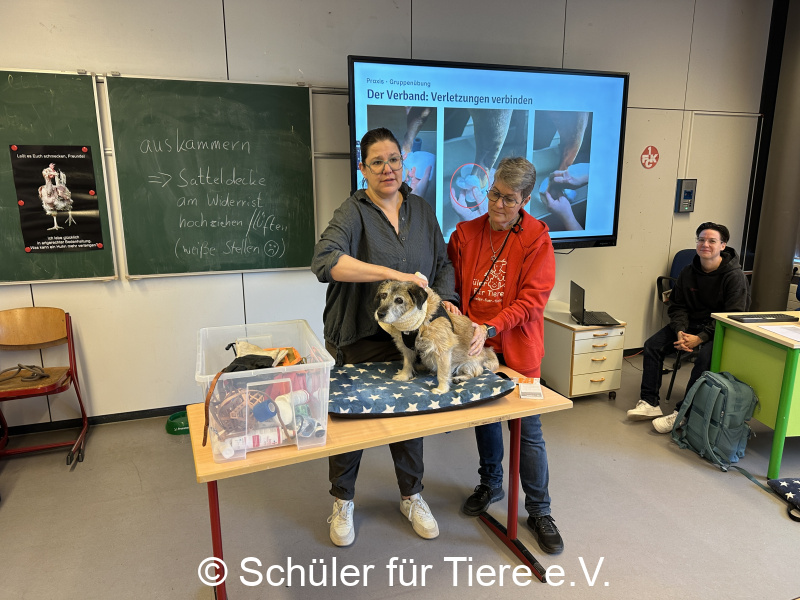 3.-Tierschutztage-Herbstferien-2026-44