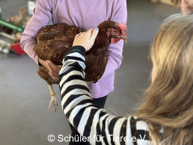 3.-Tierschutztage-Herbstferien-2026-58