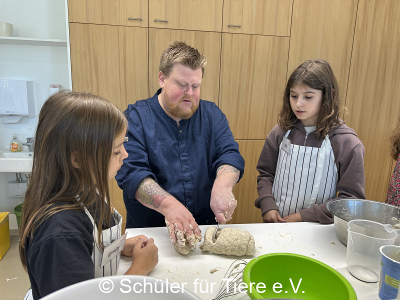 3.-Tierschutztage-Herbstferien-2026-6