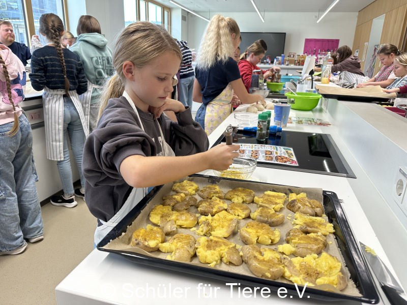 3.-Tierschutztage-Herbstferien-2026-7