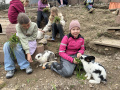 3.-Tierschutztage-Herbstferien-2026-18