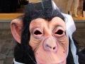2020_02_29-KIKA-Tierversuche-15
