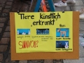 2020_02_29-KIKA-Tierversuche-49