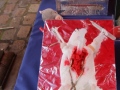 2020_02_29-KIKA-Tierversuche-54