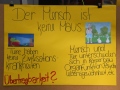 2020_02_29-KIKA-Tierversuche-57