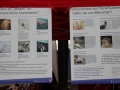 2020_02_29-KIKA-Tierversuche-61