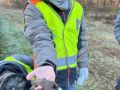 2024_02_12-Kroeten-2-Fynn-Nils-07