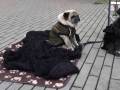 2020_12_05-FFM-LTS-2020-06