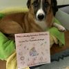 Silvesterbüchlein - Mikas unfreiwillige Reise durch die Silvesternacht