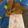 Silvesterbüchlein - Mikas unfreiwillige Reise durch die Silvesternacht