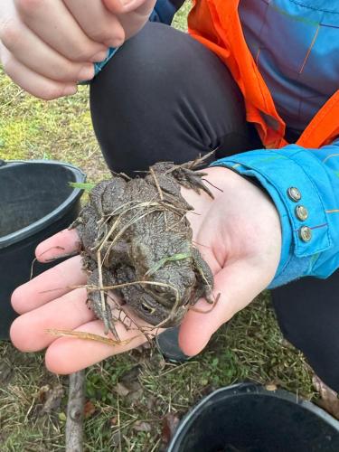 2024 02 12-Kroeten-1-JoJo-03