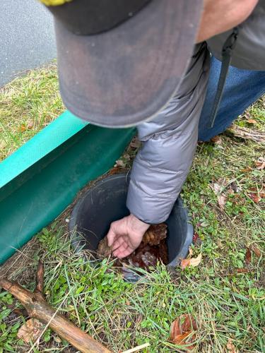 2024 02 12-Kroeten-1-JoJo-06