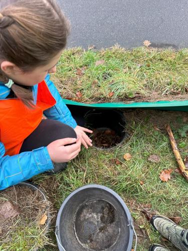 2024 02 12-Kroeten-1-JoJo-10