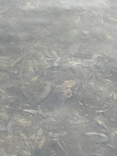 2024 02 12-Kroeten-1-JoJo-13